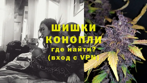 шишки Богданович