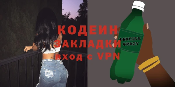 прущие грибы Заволжск