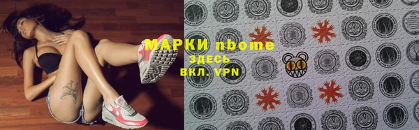 стафф Аркадак