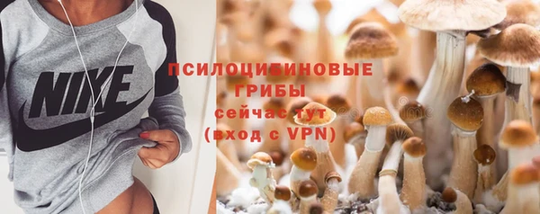 стафф Аркадак